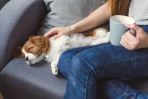 How To Make Your Home Allergy-Free For Guests