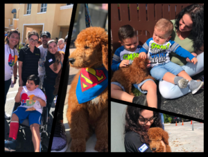 Petland Florida Supports Families In Walk