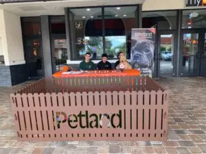 Petland Florida Brings Puppies to the Movies