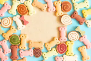 5 Best Homemade Dog Biscuits For Your Puppy