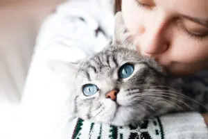 5 Signs that Your Cat is Happy