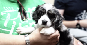 Petland Makes A Visit to Community Agency