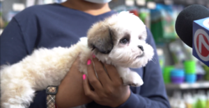 Petland Donates Puppy To Cancer Patient