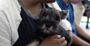 Petland Puppies Visit Friends at WOW Center