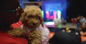Petland Celebrates Pines Day