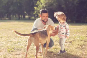 6 Dad-Like Dog Breeds for Father’s Day