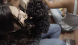 Petland Puppies at Refuge Student Ministry