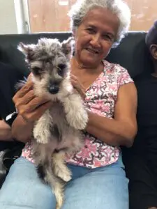 Petland Puppies at Always At Your Side Day Care