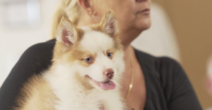 Petland at Cross Gardens Care Center