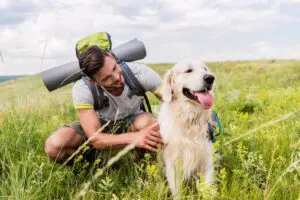 10 Best Dog Breeds For Hiking
