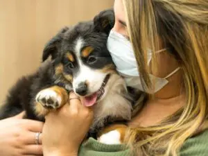 Petland Puppy Giveaway Winner Gets New Puppy