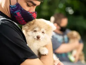 Petland Visits WOW Center for Puppy Therapy