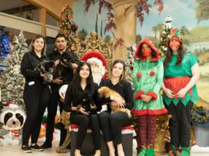 Petland Puppies Visit Southwest Focal Point Center