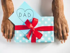 5 Dog Breeds for Every Dad this Father’s Day