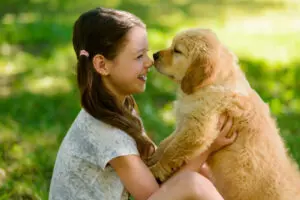 Golden Retriever: A Puppy You’ll Forever Love