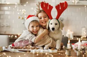 Best Holiday Gifts for Your Puppy