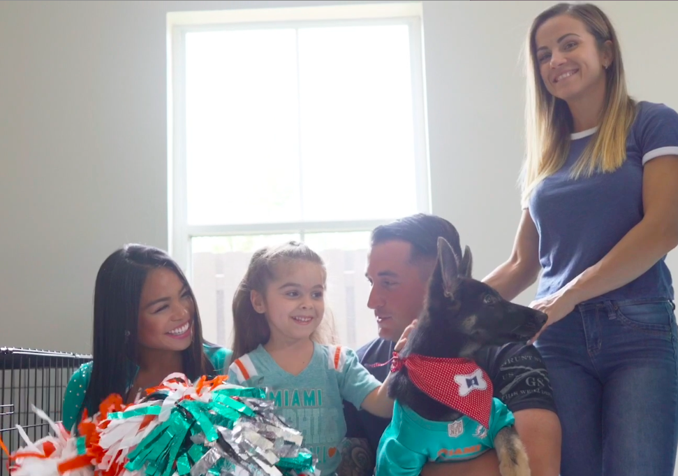 Miami Dolphins — Petland Largo Florida