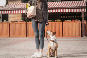 Where to Shop: 27 Stores That Are Pet Friendly