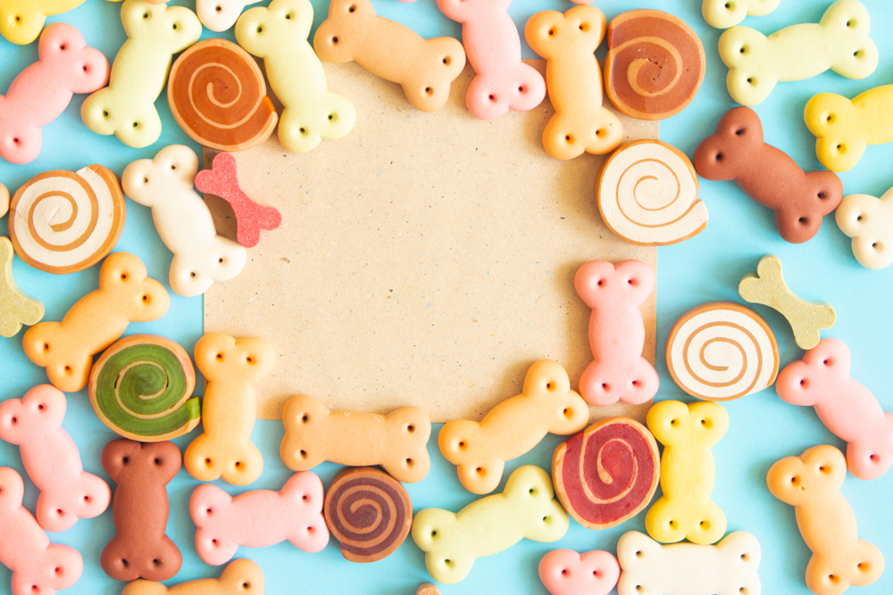 homemade dog treats with chicken broth