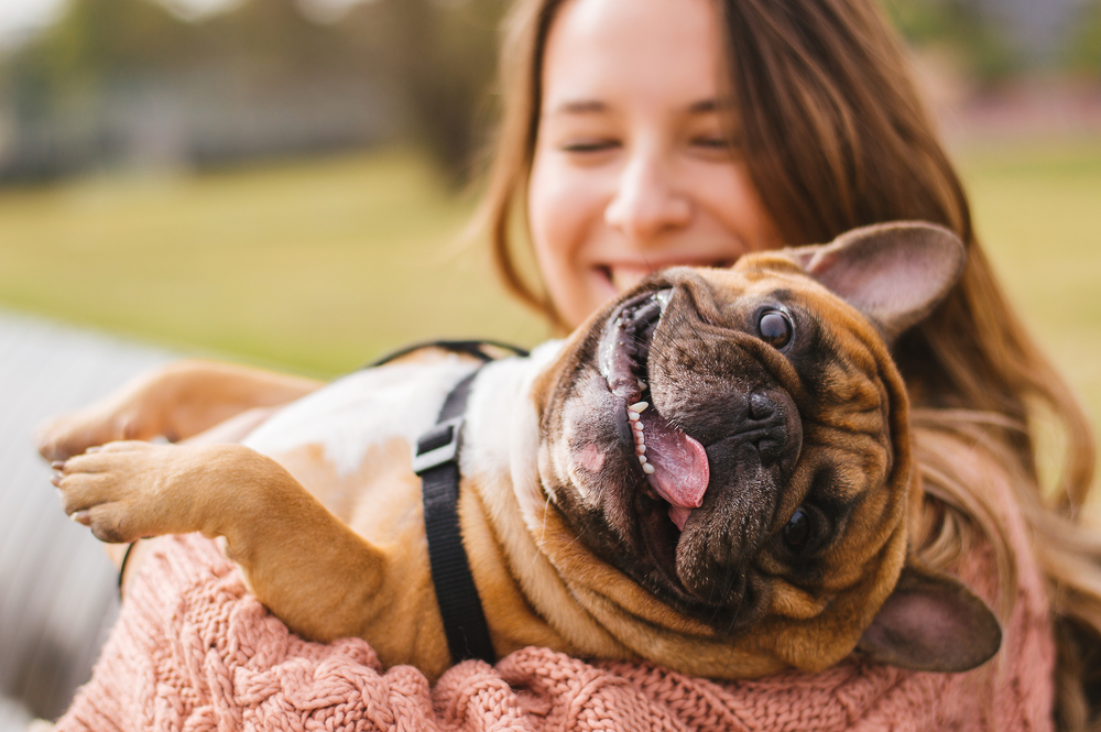 are neutered dogs happier