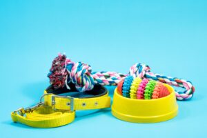 Puppy Products For New Puppy Parents