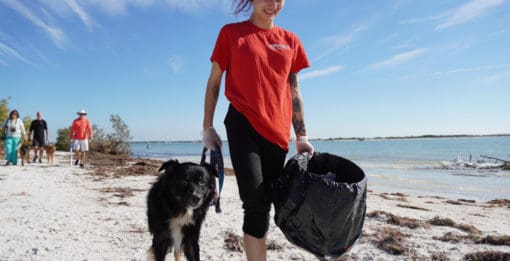 5 Popular Pet Rabbit Breeds for Families - Petland Florida