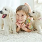 Puppies Bring Joy