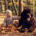 Nature's Babysitter!