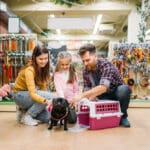 Healthy Pet Store Puppy