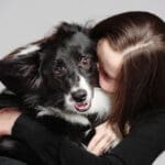 best dog breeds