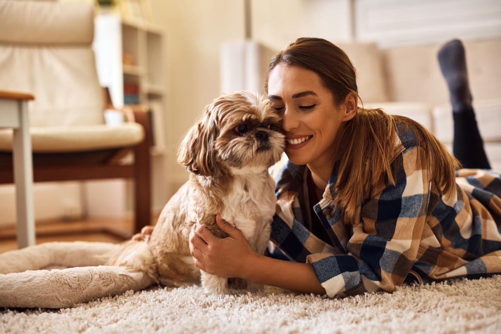 A woman cuddles with her Shih Tzu dog breed on the comfortable rug of her urban apartment.