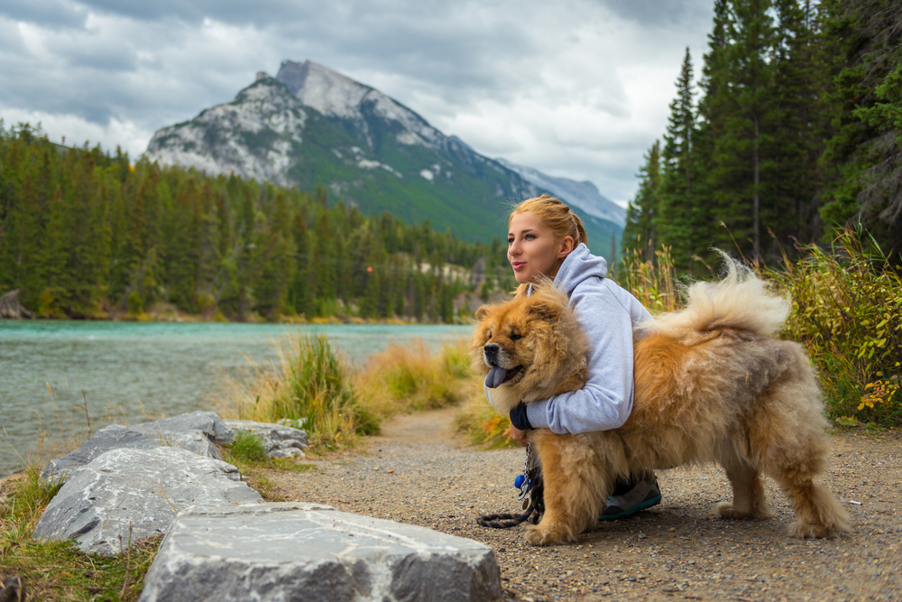 A gorgeous Russian woman marvels views of a heavenly mountain region with her loyal Chow Chow by her side to depict the feeling that is stirred in the heart by Chow Chow ownership.