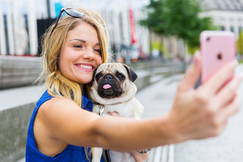 A Pug takes great selfies, especially with this female owner who snaps a candid pic with her Pug in a city.