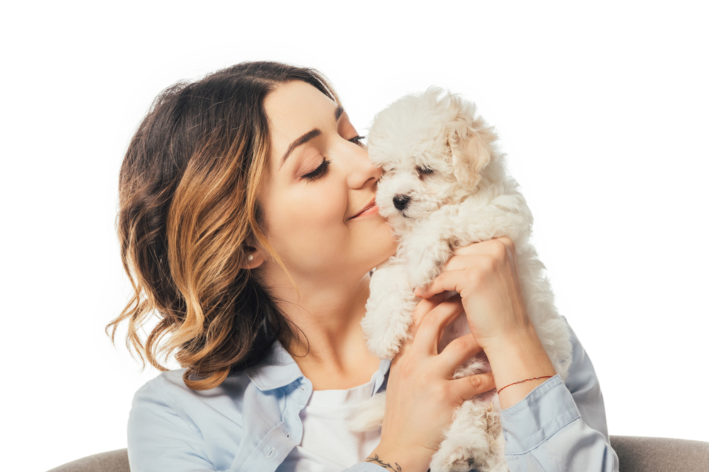 A content woman holds, snuggles, and sniffs her white Havanese puppy because she's not allergic to the hypoallergenic Havanese dog breed.