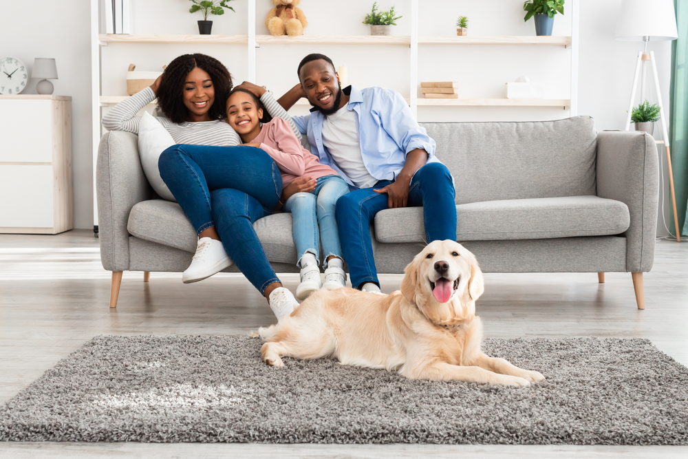 A happy African American family enjoy a sunny afternoon in their living room with their Golden Retriever dog as if they're a living Ikea advertisement.