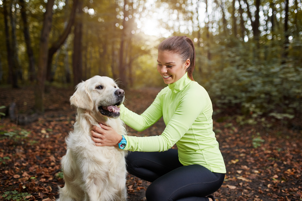 A fit, healthy woman wearing jogging apparel pets her Golden Retriever in the woods, taking a break from exercise to enjoy the nature trail they've been running along.