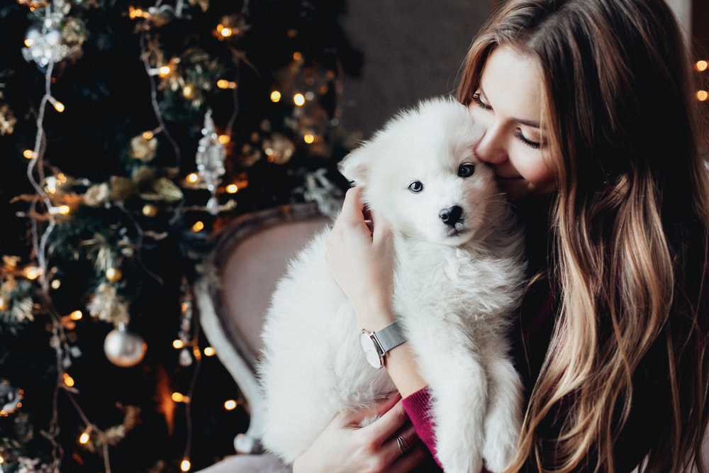 A beautiful woman kisses her Samoyed puppy while they sit in front of a lovely, decorated Christmas tree. 